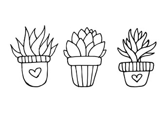 Drawn Cactus Collection Set Cute Floral Mexican