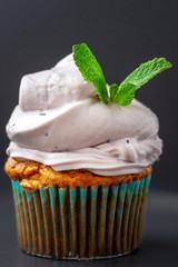 chocolate muffin on dark plate and decorated with blueberry pink cheese cream. close up