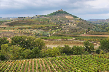Fototapeta na wymiar Vineyards and Davalillo castle, La Rioja (Spain)