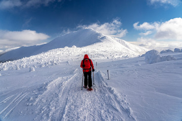 Winter sport activity. Woman hiker hiking with backpack and snowshoes snowshoeing on snow trail.