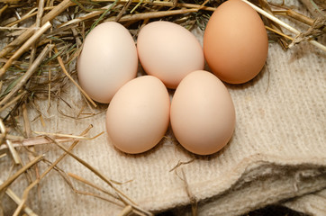 Eggs for hatching chickens