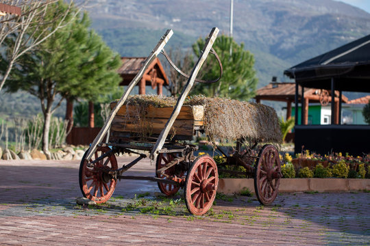 Wagon