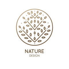 Tropical decorative plant