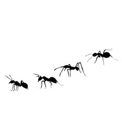 ant silhouette, colony crawling