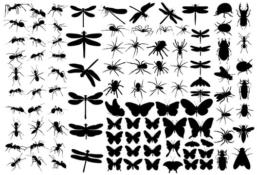 set of insects silhouettes