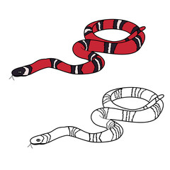 Naklejka premium vector, isolated, snake, red