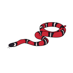 Naklejka premium isolated, snake, red