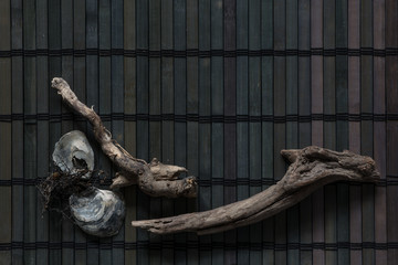 Dark marine composition of driftwood and seashells on a wooden bar.