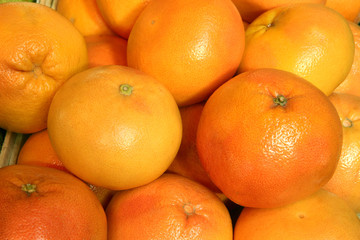 Grapefruit harvest. Grapefruits on the market