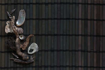 Dark marine composition of driftwood and seashells on a wooden bar.