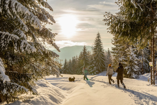 Friends on a mountain hike in the winter holiday