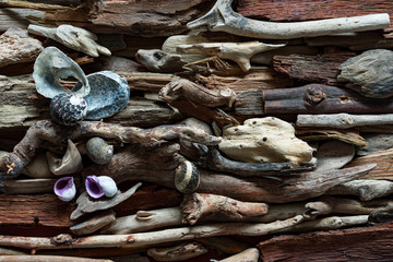 Dramatic composition of dead marine items over driftwood background.