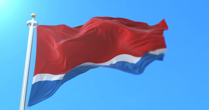 Flag of the russian federal subject of Amur Oblast, Russia. Loop