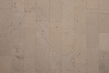 coquina background old fossil