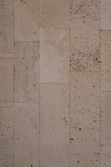 coquina background old fossil