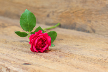 Red rose on wood texture background sign of love gift for Valentine da