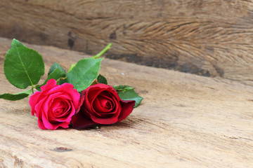 Red and pink rose on wood texture background sign of love gift for Valentine da