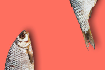 Two dried salted fishes on table of living coral color with copy space for your text. Top view
