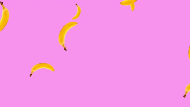 Bananas against pink background. Bananas rotating and falling down. Abstract background