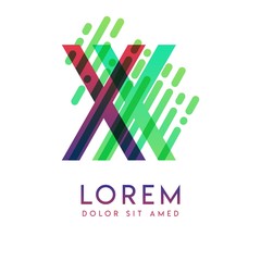 XX logo with the theme of galaxy speed and style that is suitable for creative and business industries. XX Letter Logo design for all webpage media and mobile, simple, modern and colorful.