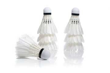 White Feather Shuttlecocks Badminton isolated on white background