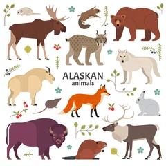 Foto op Plexiglas Alaskan animals. Vector illustration of North American mammals, such as moose, lynx, grizzly bear, polar white wolf, bison, red fox and beaver. Isolated on white. © nadzeya26