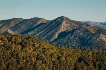 Mountains with tree line in foreground in Spain