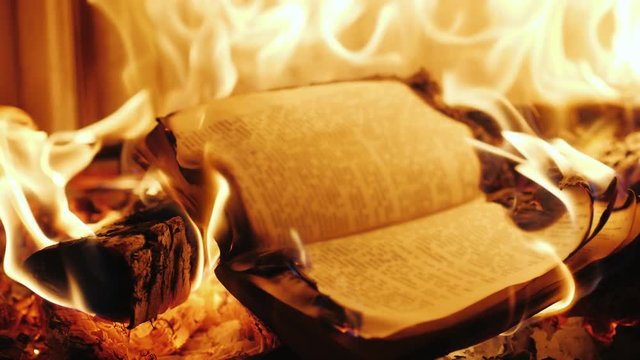 The book burns in the fire of the fireplace