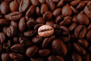 One coffee bean dark espresso on a black background.