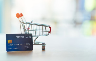 Business model Online shopping ideas with credit cards, shopping carts - Image