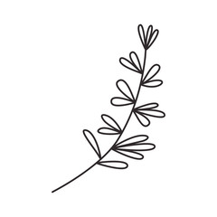 branch with leaf isolated icon