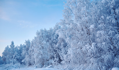 Beautiful Christmas landscape