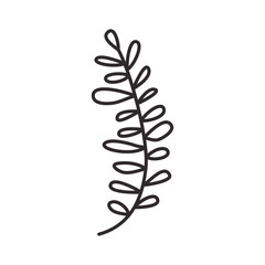 branch with leaf isolated icon