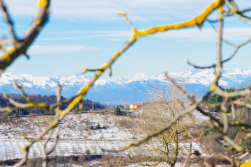 Langhe
