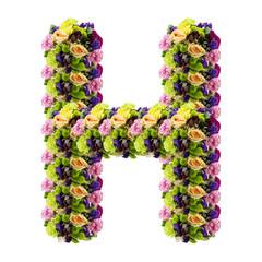 Letter H made of flower isolated on white background