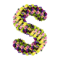 Letter S made of flower isolated on white background