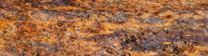 Rust 