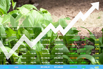 Stock financial index of successful investment on agriculture business and farming industry with...