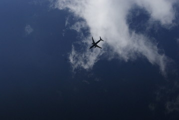 avion