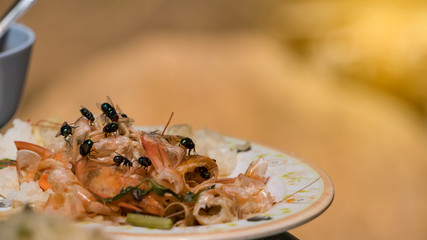 Flies flying on a food dish