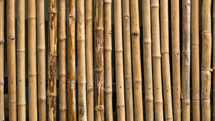 Fototapeta premium Bamboo wall