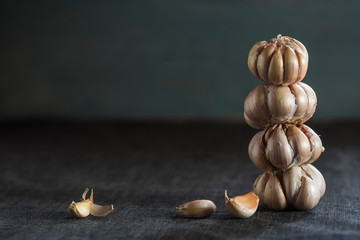  Garlic on a dark background