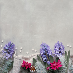 Winter background with seasonal flowers - blue hyacinth and burgundy chrysanthemum, square composition, top view with copy-space