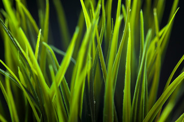 abstract art photography of an object