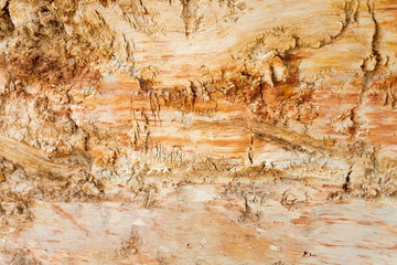 Deposit of kaolin secondary and clay refractory in the clay quarry