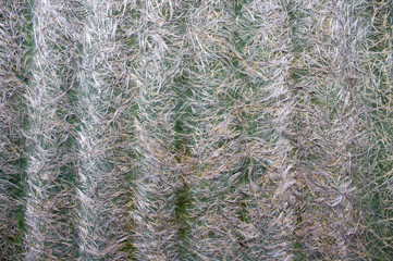 close-up of fiberglass slate