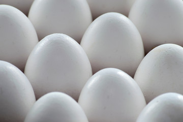 group of white chicken eggs