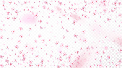 Nice Sakura Blossom Isolated Vector. Beautiful Showering 3d Petals Wedding Pattern. Japanese Style Flowers Wallpaper. Valentine, Mother's Day Spring Nice Sakura Blossom Isolated on White