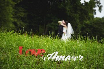 Fototapeta na wymiar The inscription with the words love in the summer on the green grass