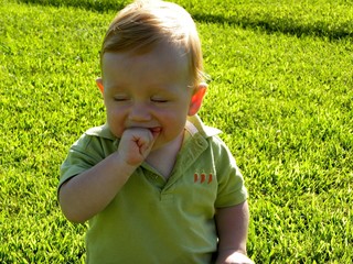 little boy in grass